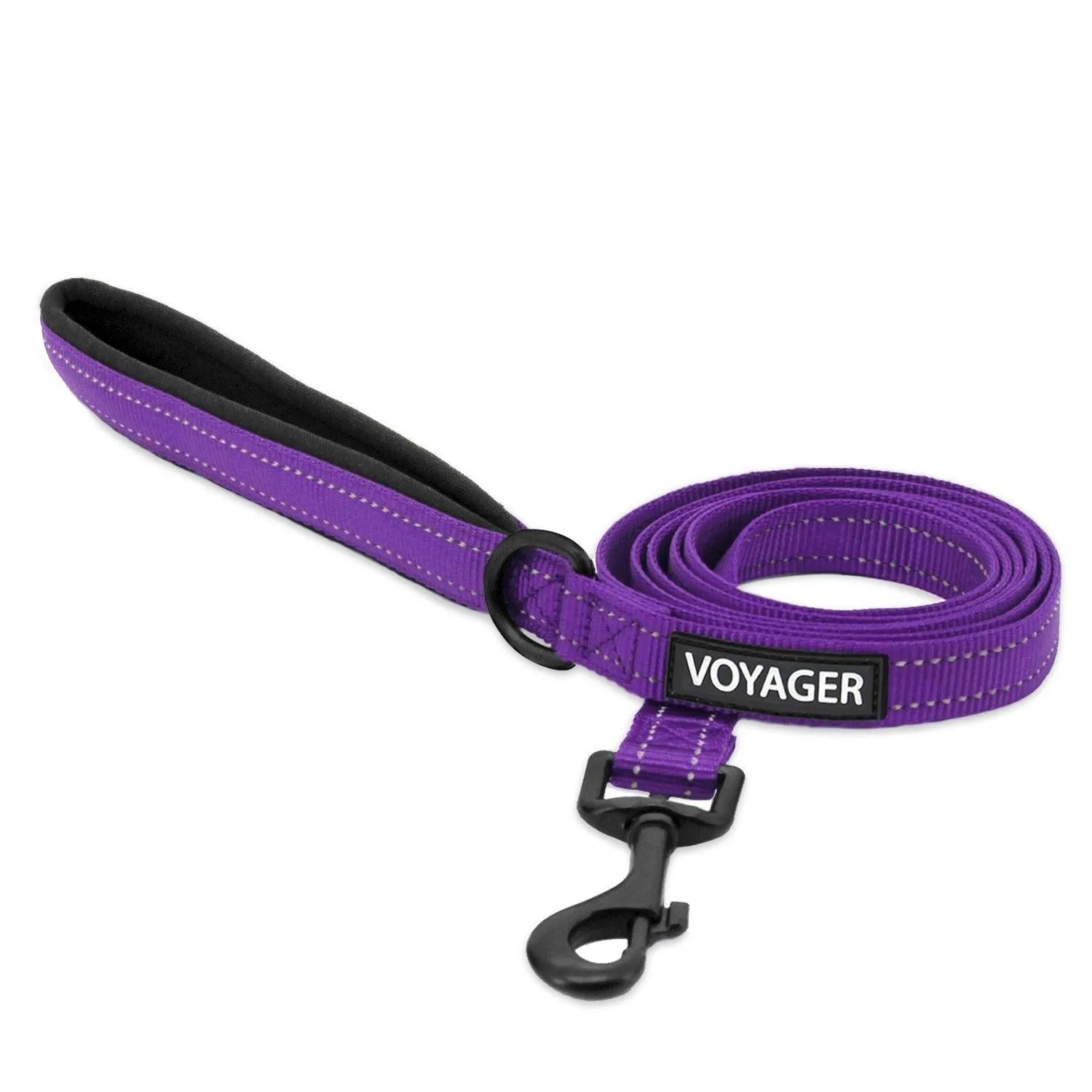 Halloween Reflective Pet Leash