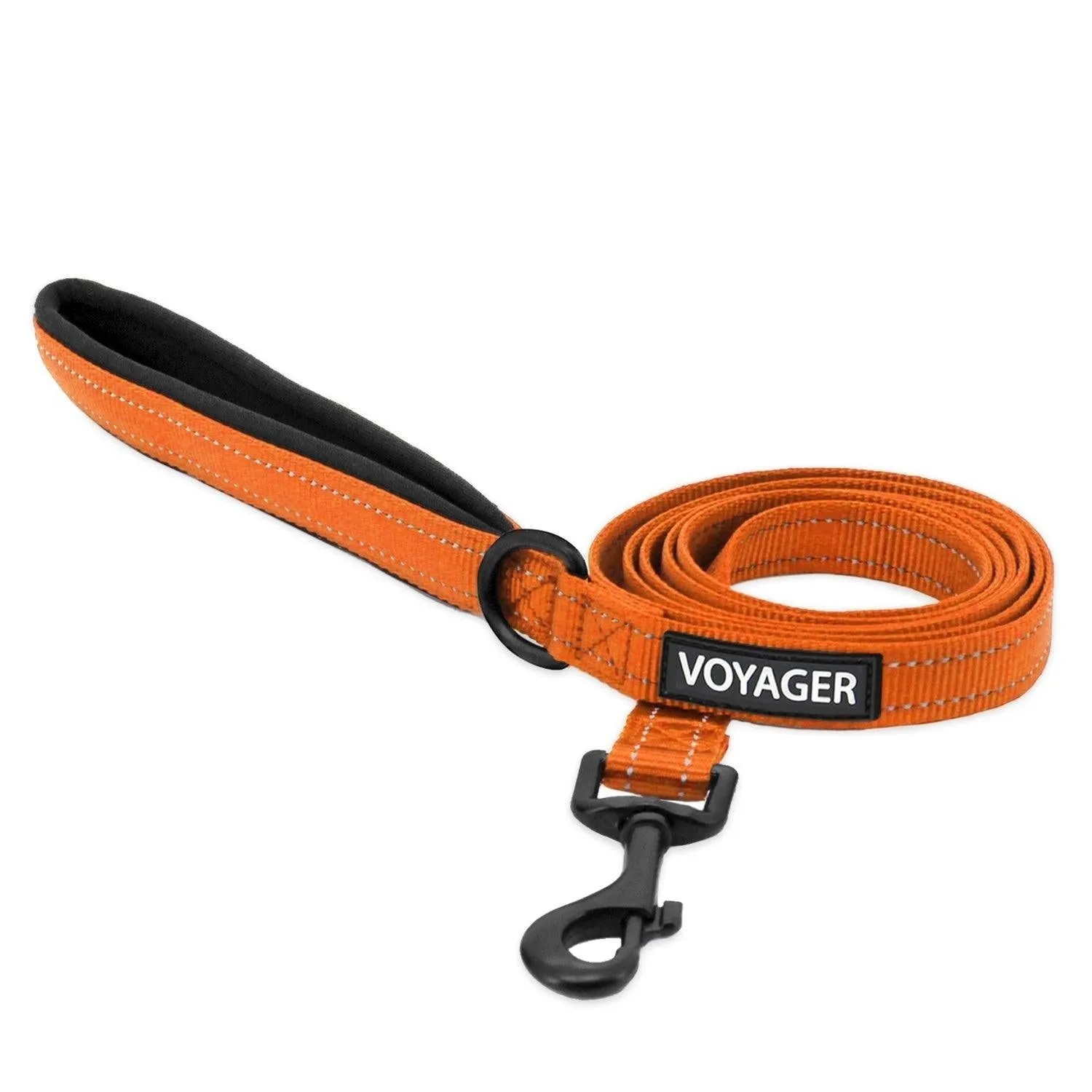 Halloween Reflective Pet Leash